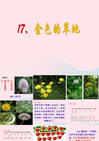 一年级语文下册 第17课《金色的草地》课件3 鄂教版-鄂教版小学一年级下册语文课件