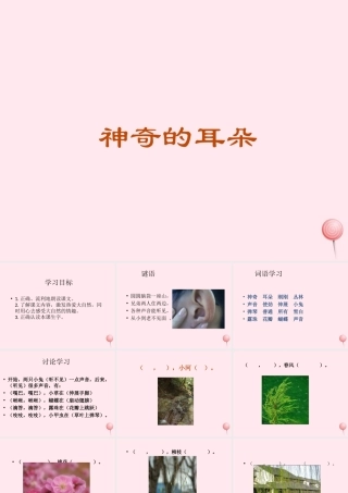 一年级语文下册 第17课《神奇的耳朵》课件2 冀教版-冀教版小学一年级下册语文课件