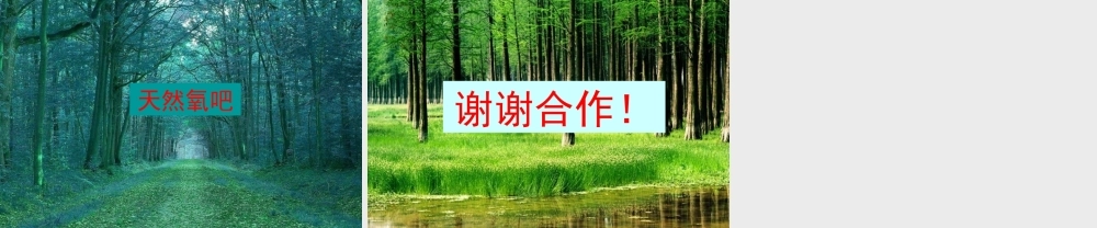 三年级科学上册 1.5《植物的叶》课件（3） 教科版-教科版小学三年级上册自然科学课件