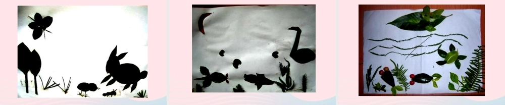 三年级科学上册 1.5《植物的叶》课件（4） 教科版-教科版小学三年级上册自然科学课件