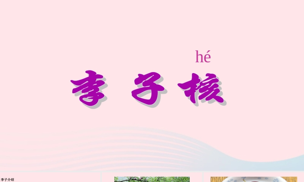 一年级语文下册 第19课《李子核》课件1 鄂教版-鄂教版小学一年级下册语文课件