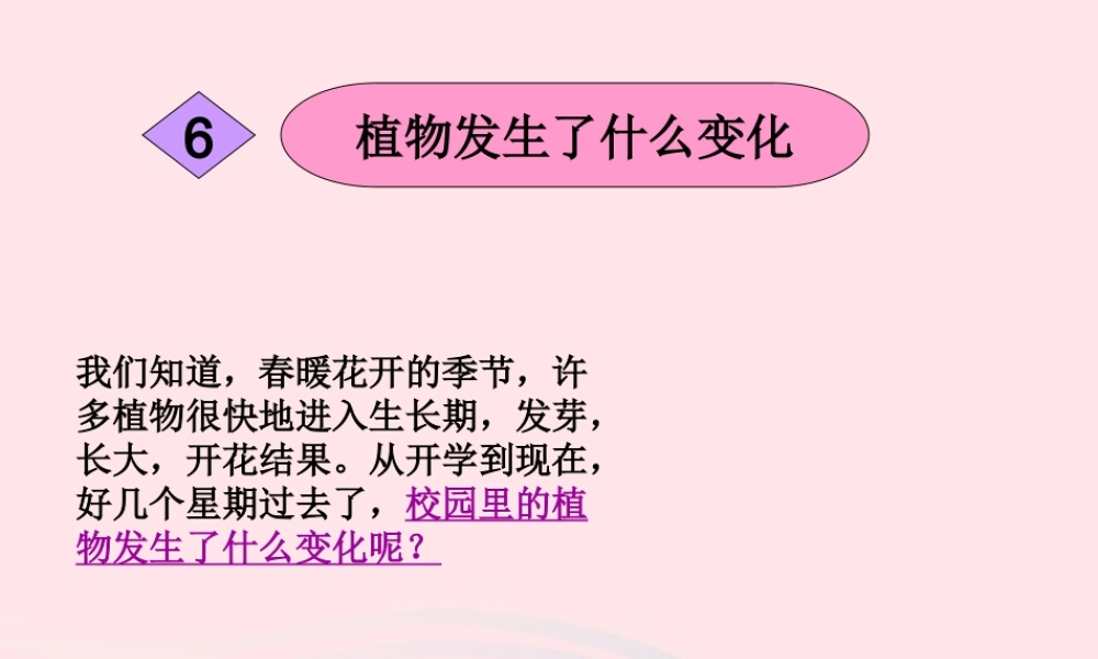 三年级科学上册 1.6《植物发生了什么变化》课件（2） 教科版-教科版小学三年级上册自然科学课件