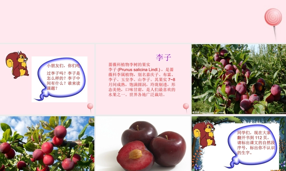 一年级语文下册 第19课《李子核》课件2 鄂教版-鄂教版小学一年级下册语文课件