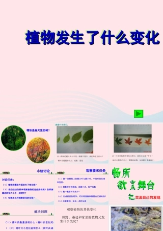 三年级科学上册 1.6《植物发生了什么变化》课件（3） 教科版-教科版小学三年级上册自然科学课件