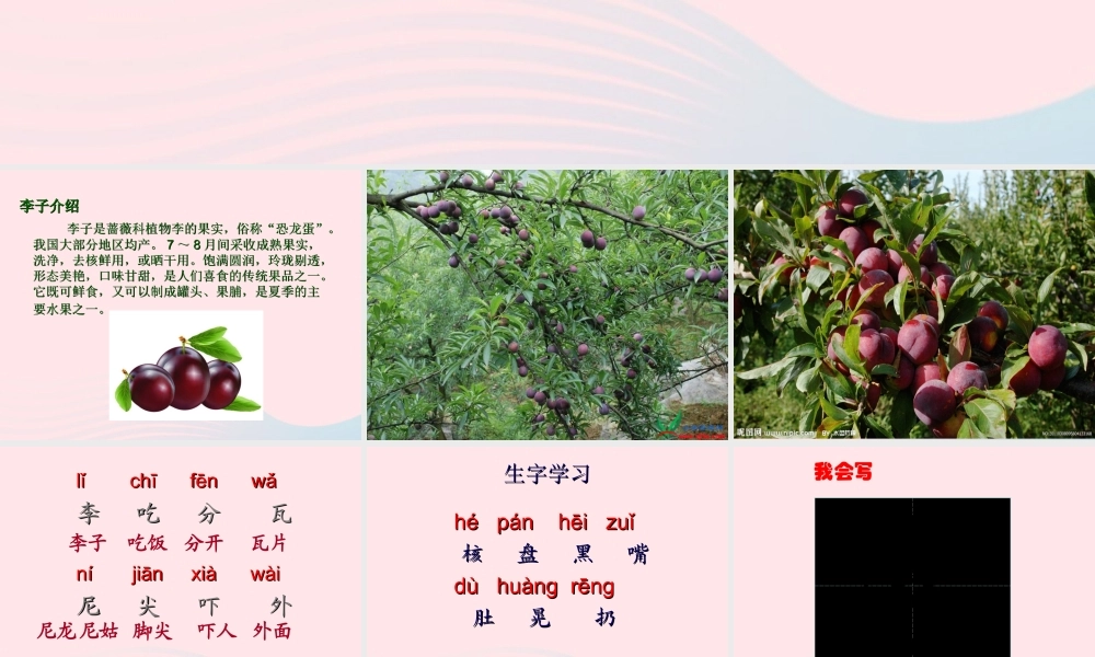 一年级语文下册 第19课《李子核》课件3 鄂教版-鄂教版小学一年级下册语文课件