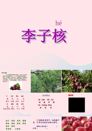 一年级语文下册 第19课《李子核》课件3 鄂教版-鄂教版小学一年级下册语文课件