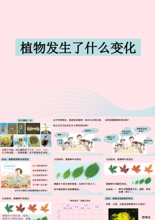 三年级科学上册 1.6《植物发生了什么变化》课件（4） 教科版-教科版小学三年级上册自然科学课件