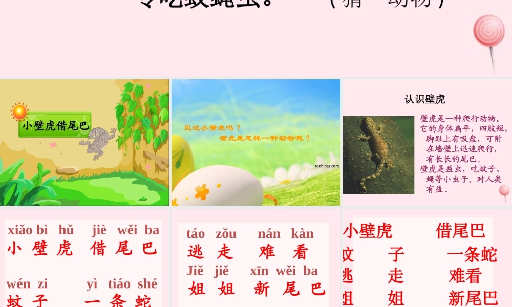 一年级语文下册 第19课《小壁虎借尾巴》课件1 冀教版-冀教版小学一年级下册语文课件