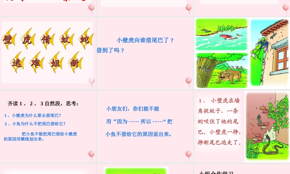 一年级语文下册 第19课《小壁虎借尾巴》课件1 冀教版-冀教版小学一年级下册语文课件