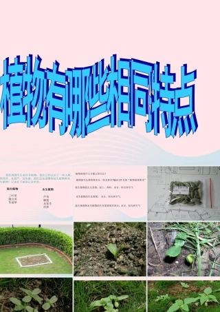 三年级科学上册 1.7《植物的有哪些共同特点》课件（1） 教科版-教科版小学三年级上册自然科学课件