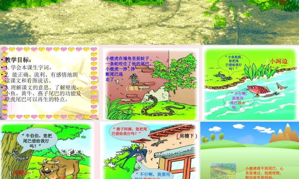 一年级语文下册 第19课《小壁虎借尾巴》课件2 冀教版-冀教版小学一年级下册语文课件