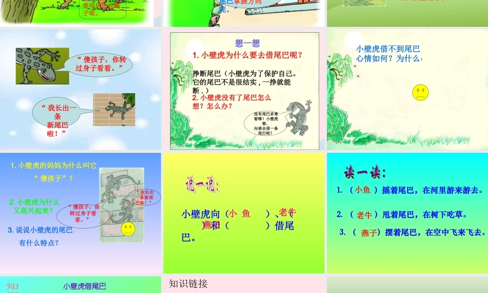 一年级语文下册 第19课《小壁虎借尾巴》课件2 冀教版-冀教版小学一年级下册语文课件