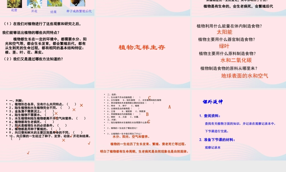 三年级科学上册 1.7《植物的有哪些共同特点》课件（2） 教科版-教科版小学三年级上册自然科学课件