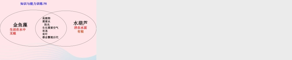 三年级科学上册 1.7《植物的有哪些共同特点》课件（2） 教科版-教科版小学三年级上册自然科学课件