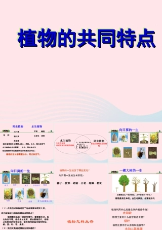 三年级科学上册 1.7《植物的有哪些共同特点》课件（2） 教科版-教科版小学三年级上册自然科学课件