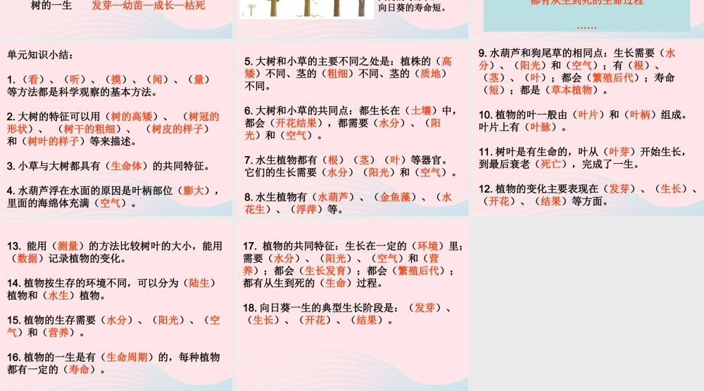 三年级科学上册 1.7《植物的有哪些共同特点》课件（3） 教科版-教科版小学三年级上册自然科学课件