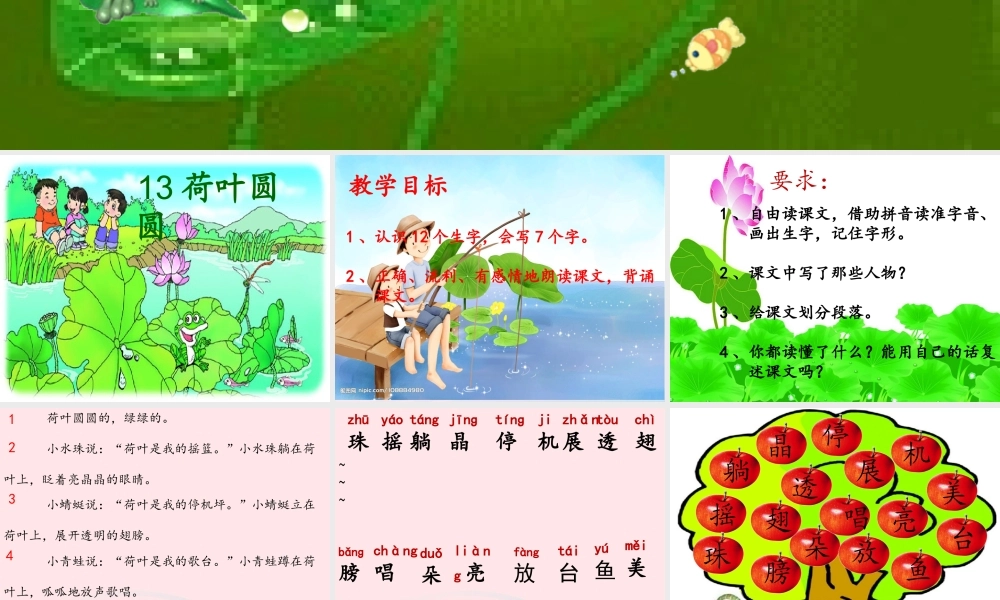 一年级语文下册 课文4 13《荷叶圆圆》课件 新人教版-新人教版小学一年级下册语文课件