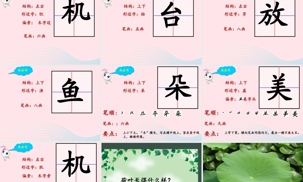 一年级语文下册 课文4 13《荷叶圆圆》课件 新人教版-新人教版小学一年级下册语文课件