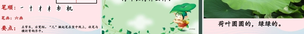 一年级语文下册 课文4 13《荷叶圆圆》课件 新人教版-新人教版小学一年级下册语文课件