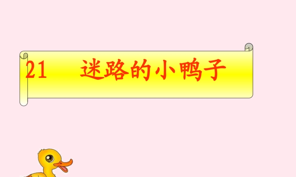 一年级语文下册 第21课《迷路的小鸭子》课件1 鄂教版-鄂教版小学一年级下册语文课件