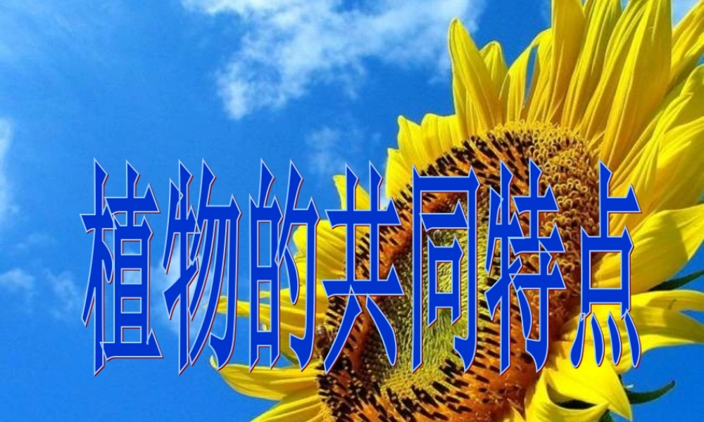 三年级科学上册 1.7《植物的有哪些共同特点》课件（4） 教科版-教科版小学三年级上册自然科学课件