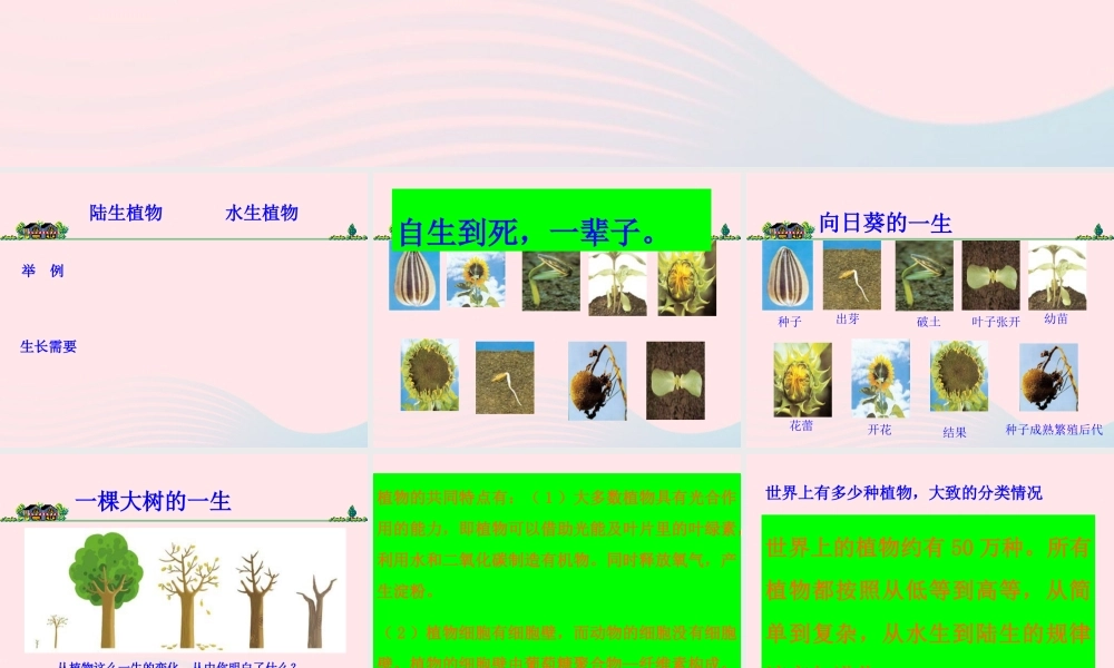 三年级科学上册 1.7《植物的有哪些共同特点》课件（5） 教科版-教科版小学三年级上册自然科学课件