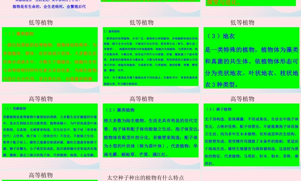 三年级科学上册 1.7《植物的有哪些共同特点》课件（5） 教科版-教科版小学三年级上册自然科学课件
