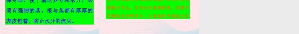 三年级科学上册 1.7《植物的有哪些共同特点》课件（5） 教科版-教科版小学三年级上册自然科学课件