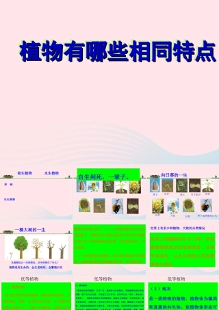 三年级科学上册 1.7《植物的有哪些共同特点》课件（5） 教科版-教科版小学三年级上册自然科学课件