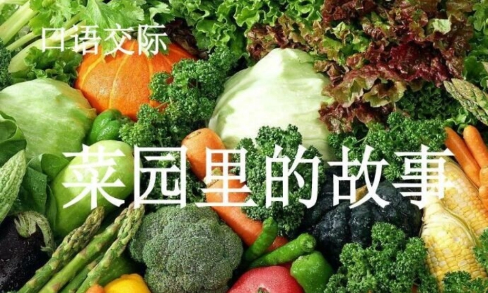 一年级语文下册 口语交际《菜园里的故事》课件 湘教版-湘教版小学一年级下册语文课件