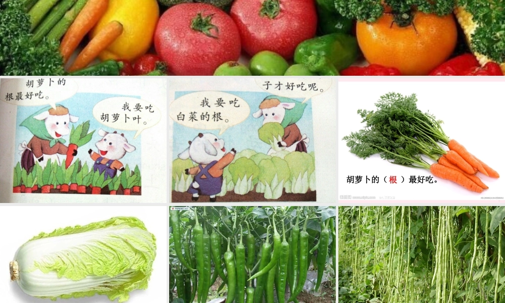 一年级语文下册 口语交际《菜园里的故事》课件 湘教版-湘教版小学一年级下册语文课件