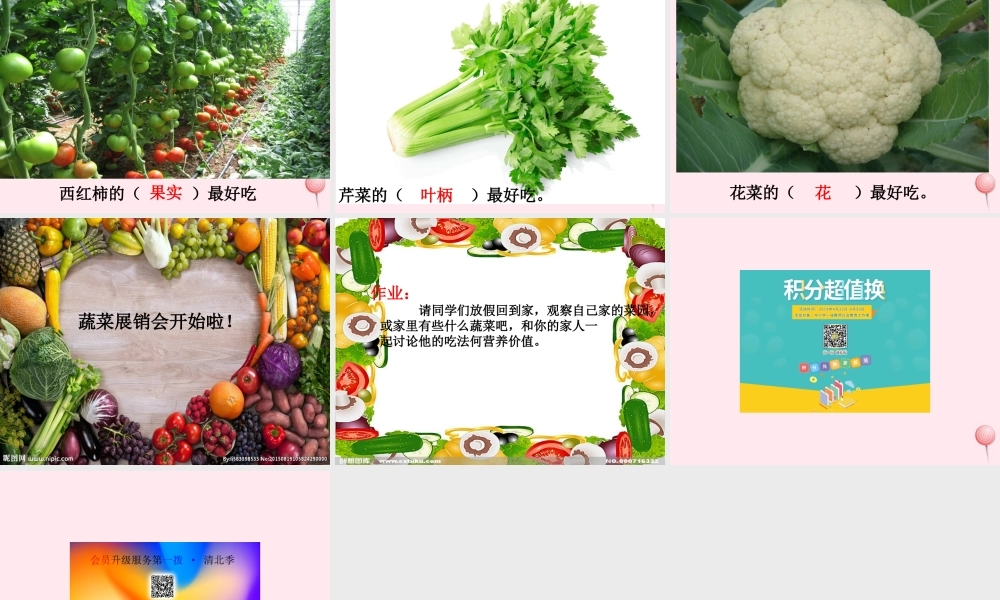 一年级语文下册 口语交际《菜园里的故事》课件 湘教版-湘教版小学一年级下册语文课件