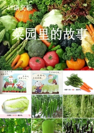 一年级语文下册 口语交际《菜园里的故事》课件 湘教版-湘教版小学一年级下册语文课件