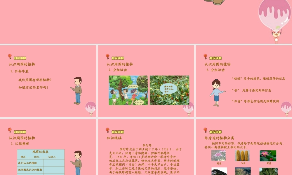 三年级科学上册 2.1 身边的植物课件1 湘教版-湘教版小学三年级上册自然科学课件