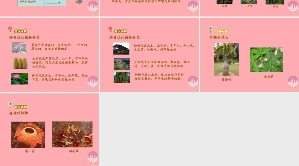 三年级科学上册 2.1 身边的植物课件1 湘教版-湘教版小学三年级上册自然科学课件