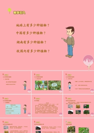 三年级科学上册 2.1 身边的植物课件1 湘教版-湘教版小学三年级上册自然科学课件