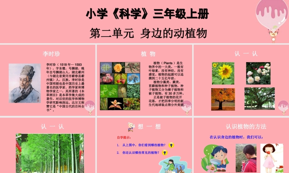 三年级科学上册 2.1 身边的植物课件2 湘教版-湘教版小学三年级上册自然科学课件