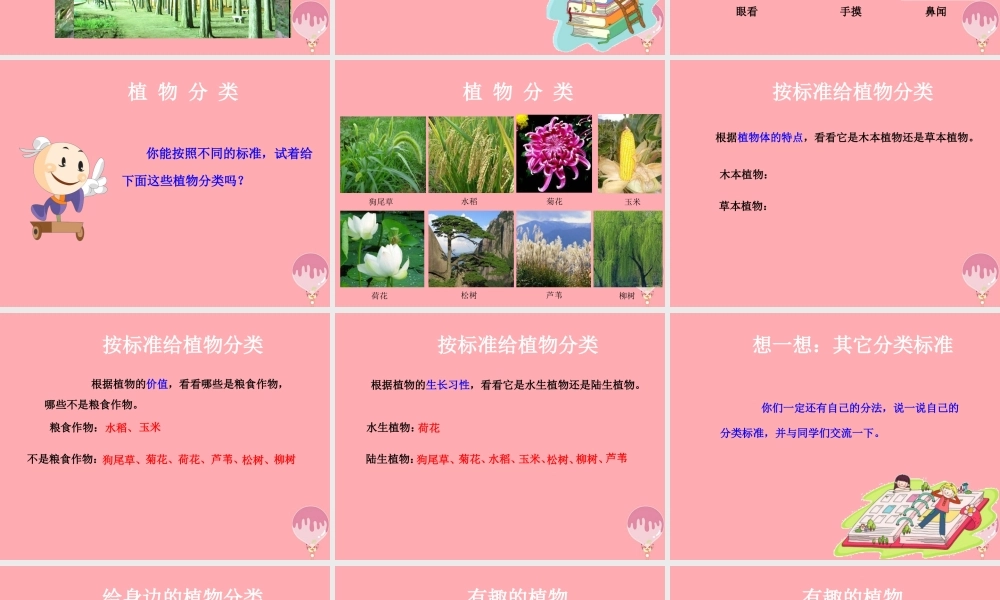 三年级科学上册 2.1 身边的植物课件2 湘教版-湘教版小学三年级上册自然科学课件