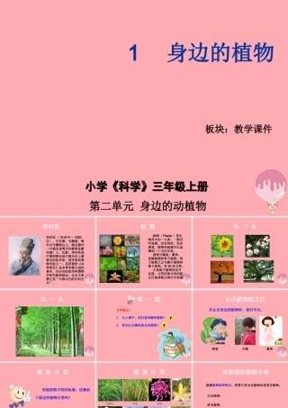 三年级科学上册 2.1 身边的植物课件2 湘教版-湘教版小学三年级上册自然科学课件