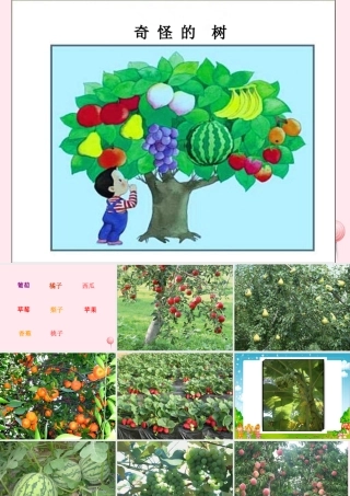 一年级语文下册 口语交际《奇怪的树》课件 湘教版-湘教版小学一年级下册语文课件