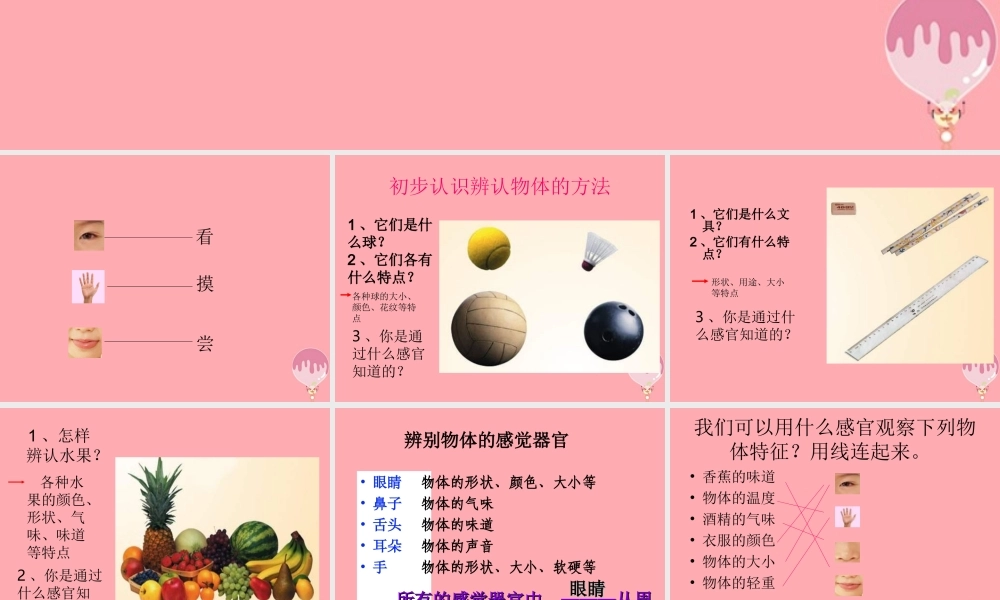 三年级科学上册 2.1 怎样认识物体课件1 青岛版五四制-青岛版小学三年级上册自然科学课件