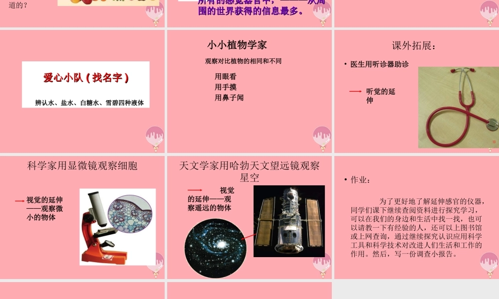 三年级科学上册 2.1 怎样认识物体课件1 青岛版五四制-青岛版小学三年级上册自然科学课件