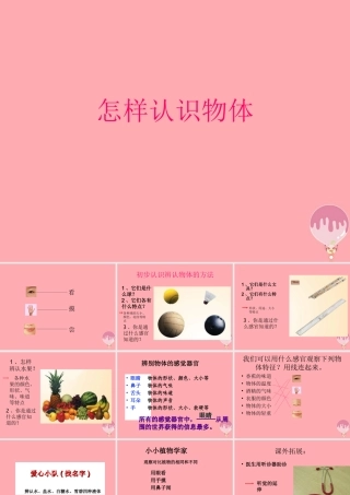 三年级科学上册 2.1 怎样认识物体课件1 青岛版五四制-青岛版小学三年级上册自然科学课件