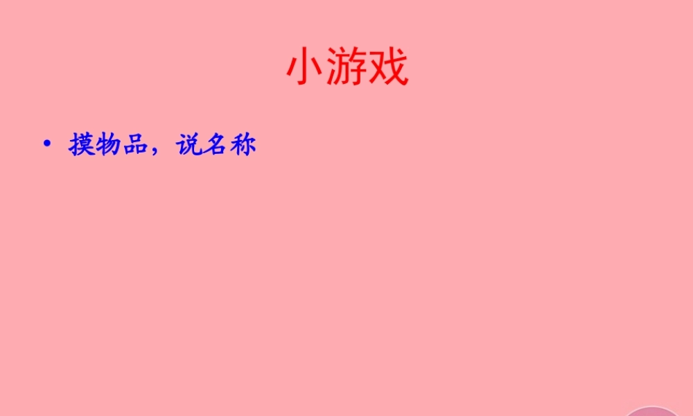 三年级科学上册 2.1 怎样认识物体课件2 青岛版五四制-青岛版小学三年级上册自然科学课件