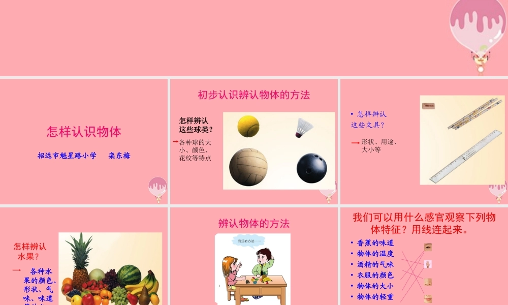 三年级科学上册 2.1 怎样认识物体课件2 青岛版五四制-青岛版小学三年级上册自然科学课件