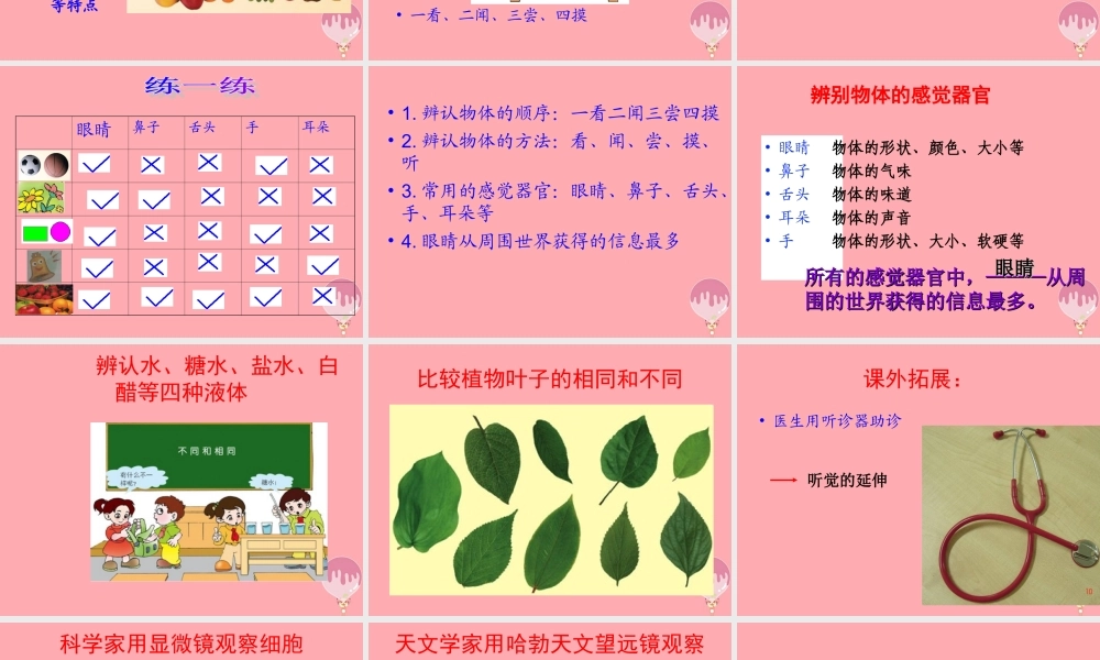 三年级科学上册 2.1 怎样认识物体课件2 青岛版五四制-青岛版小学三年级上册自然科学课件