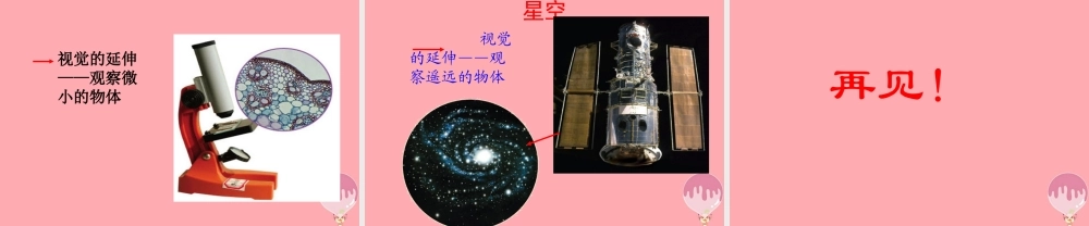 三年级科学上册 2.1 怎样认识物体课件2 青岛版五四制-青岛版小学三年级上册自然科学课件