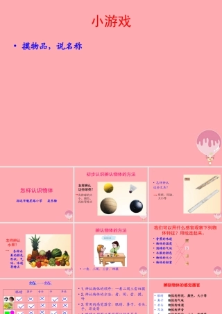 三年级科学上册 2.1 怎样认识物体课件2 青岛版五四制-青岛版小学三年级上册自然科学课件