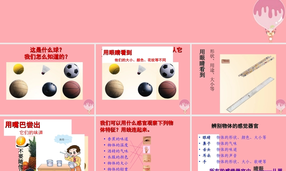 三年级科学上册 2.1 怎样认识物体课件3 青岛版五四制-青岛版小学三年级上册自然科学课件