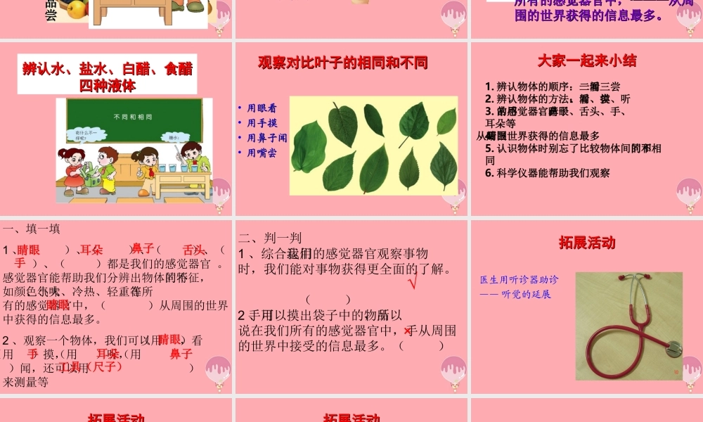 三年级科学上册 2.1 怎样认识物体课件3 青岛版五四制-青岛版小学三年级上册自然科学课件
